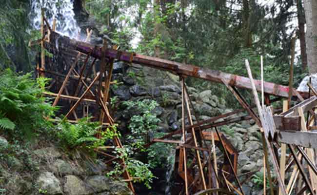 De Paltzbiënnale - kunst in het groen