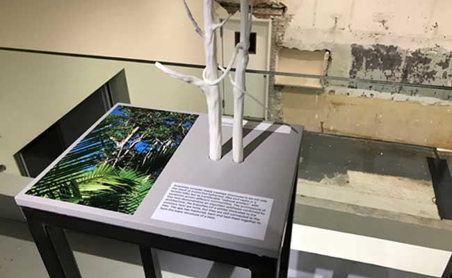 Voorbij de kunst met Forensic Architecture