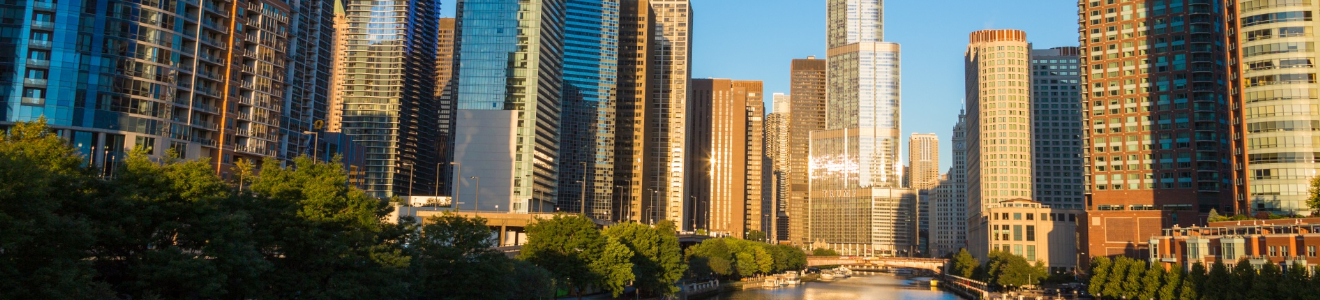 Architectuurreis Chicago (Verenigde Staten)