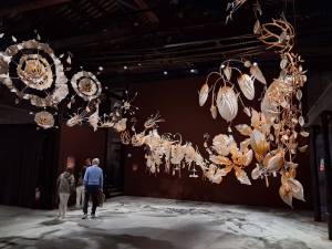 Paviljoen India, Ranjani Shettar, Under the same sky