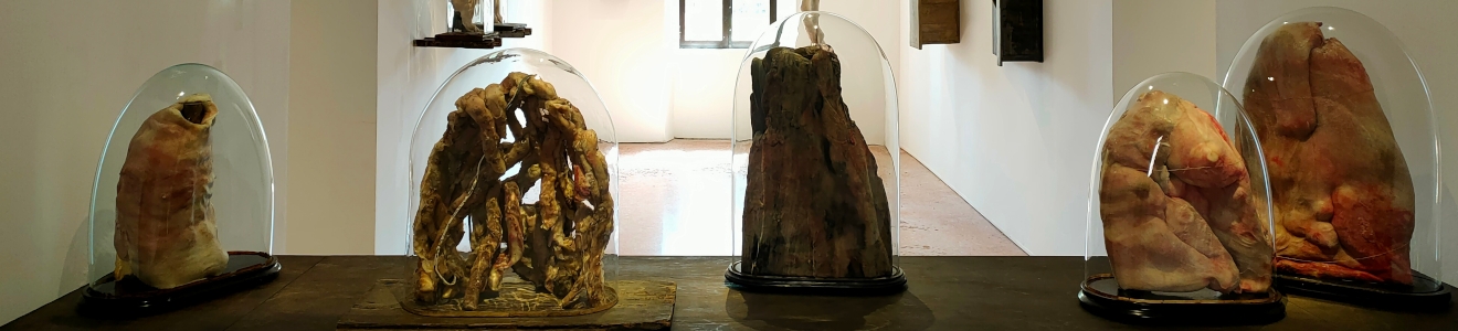 Studiedag - Hedendaagse kunstenaars nu in het museum
